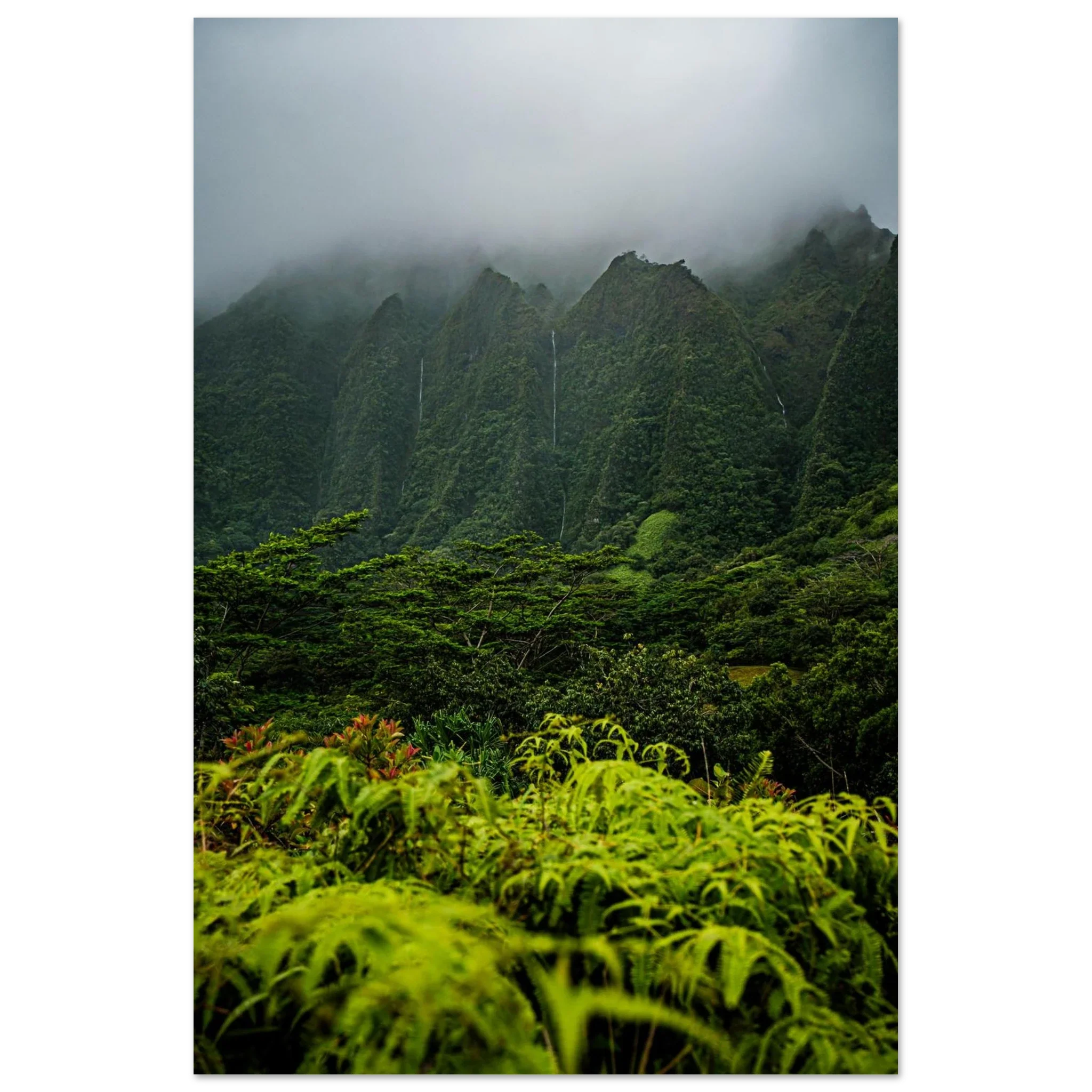 O'ahu, Hawai'i Collection