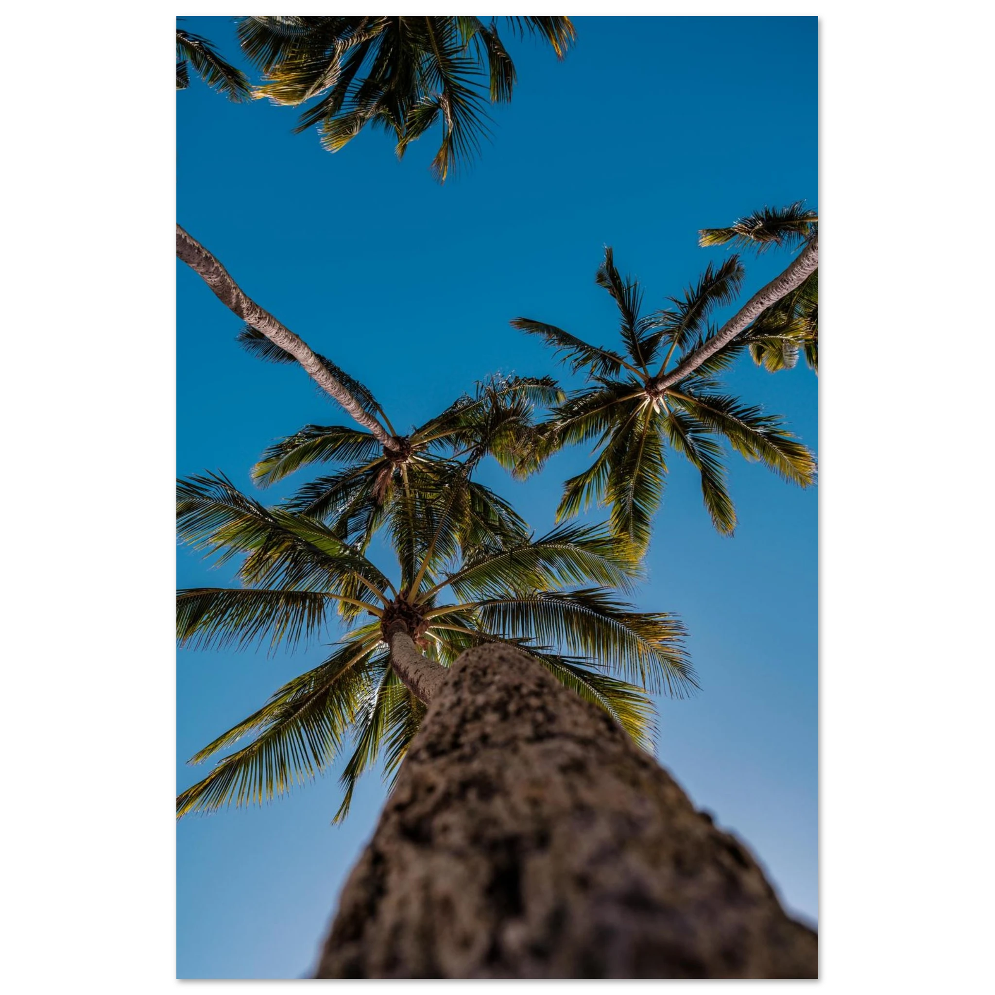 0b82fdc1-6262-46fa-86b1-9dd34f0483d7