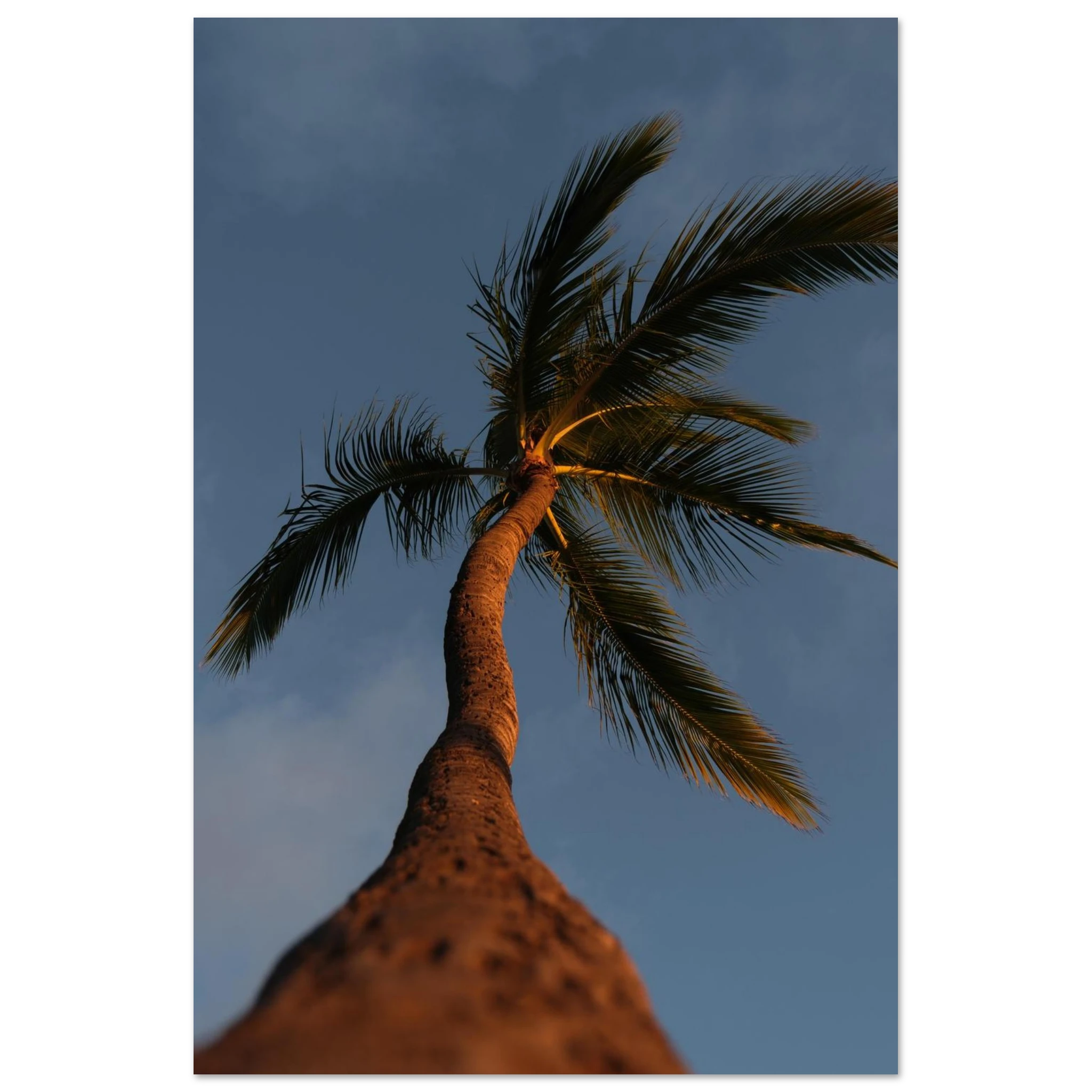 13a64015-7131-4a61-bf3e-5a383a4a3042