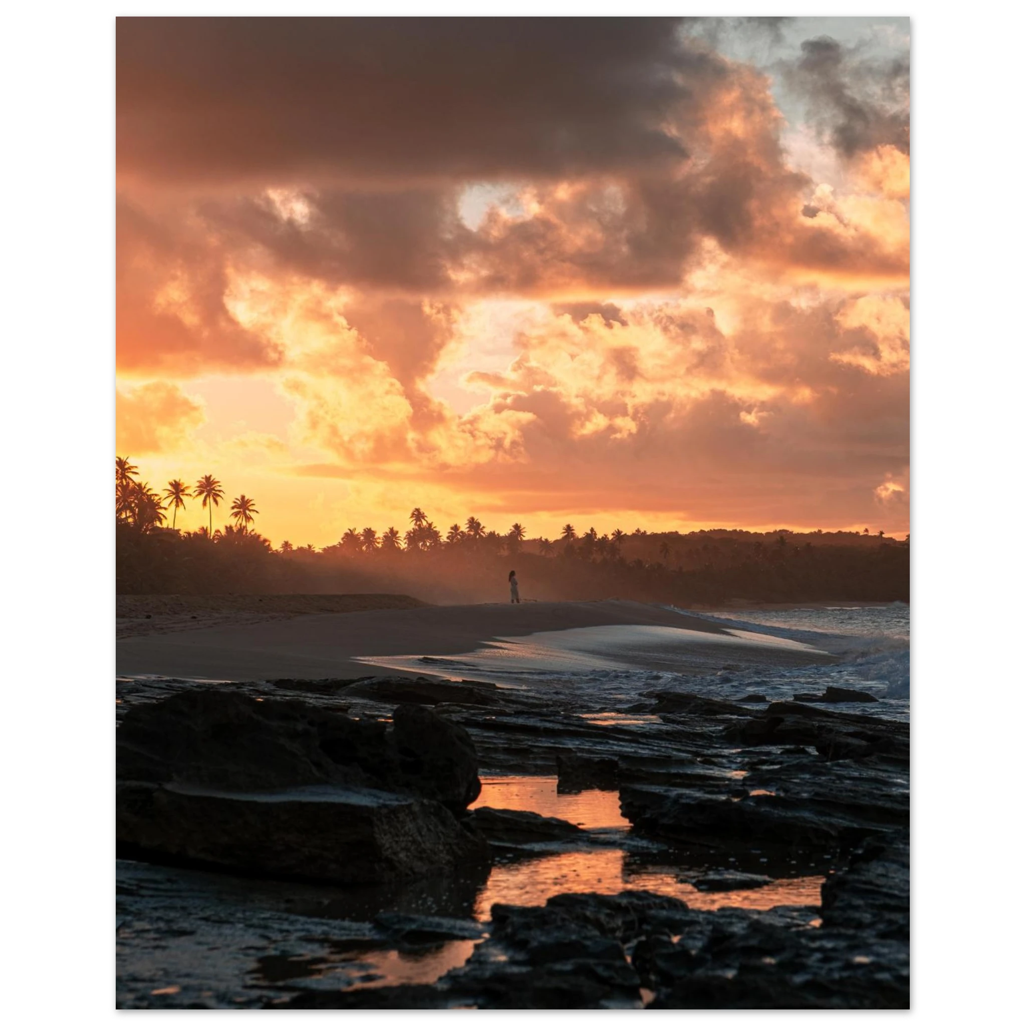 3eaf8f81-8fa5-4341-a37e-9c278b7c474d