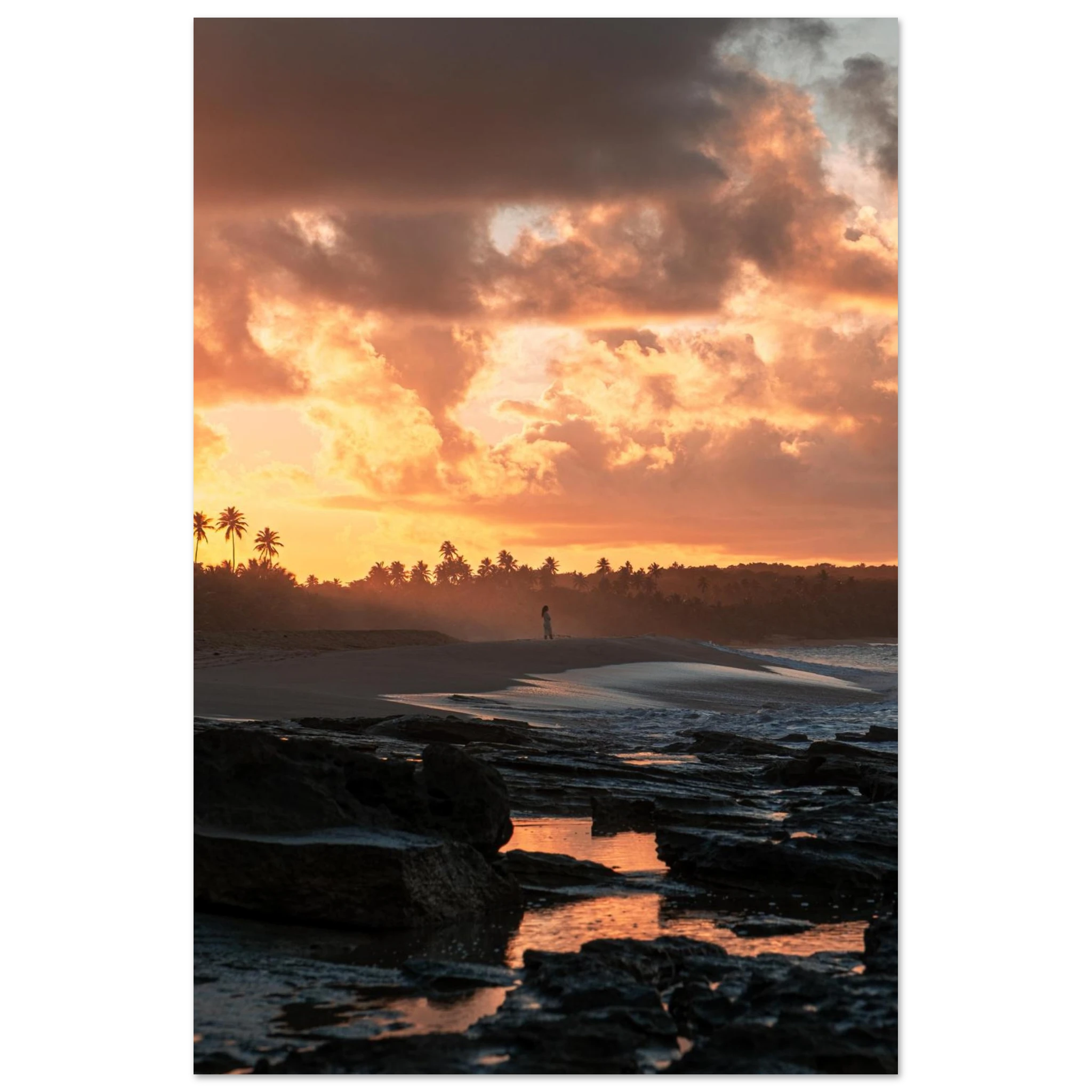 49a5cc77-ff66-4fe7-9a32-326e291f9fb2