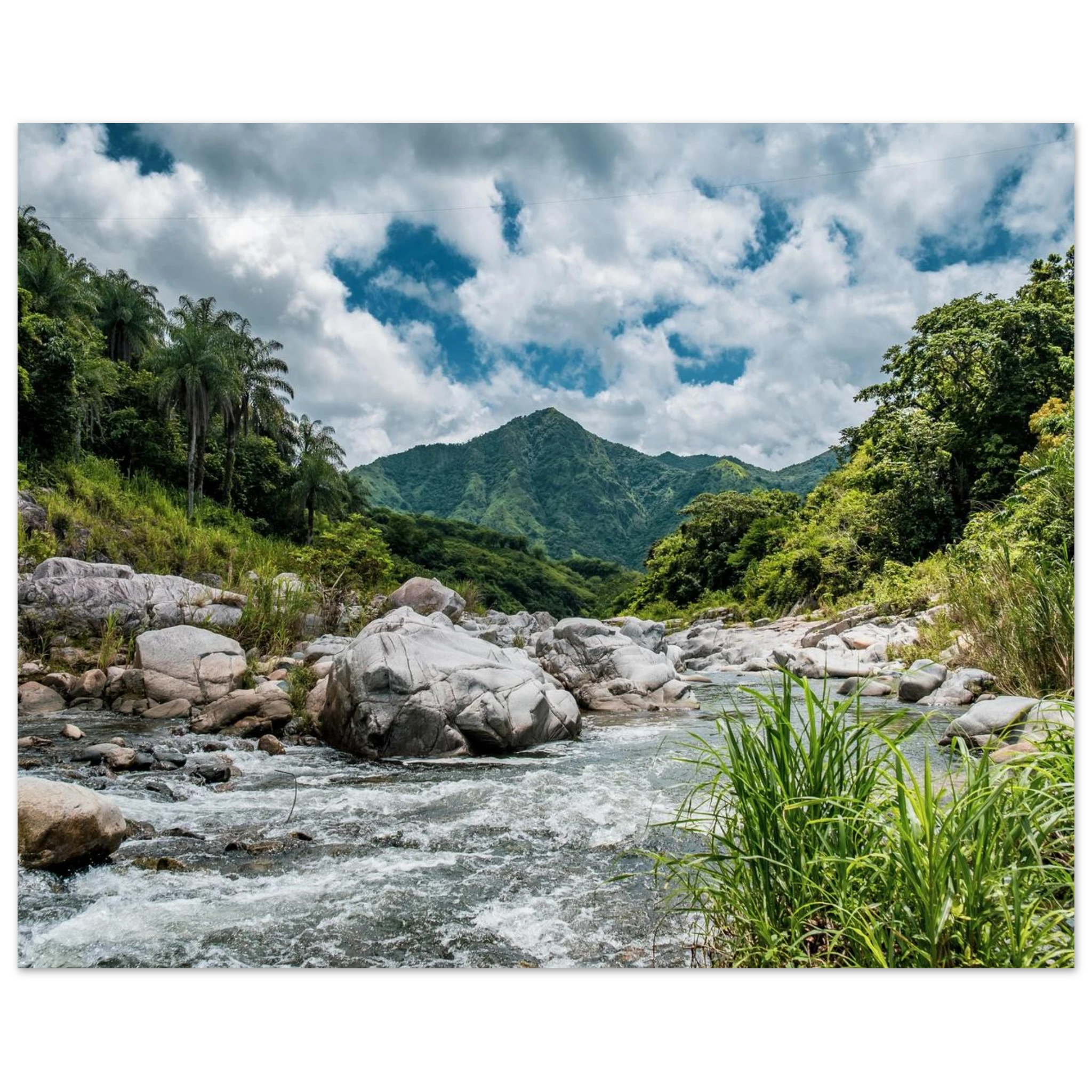 4c595e27-6cbf-402e-bca8-cab3fac7bd98