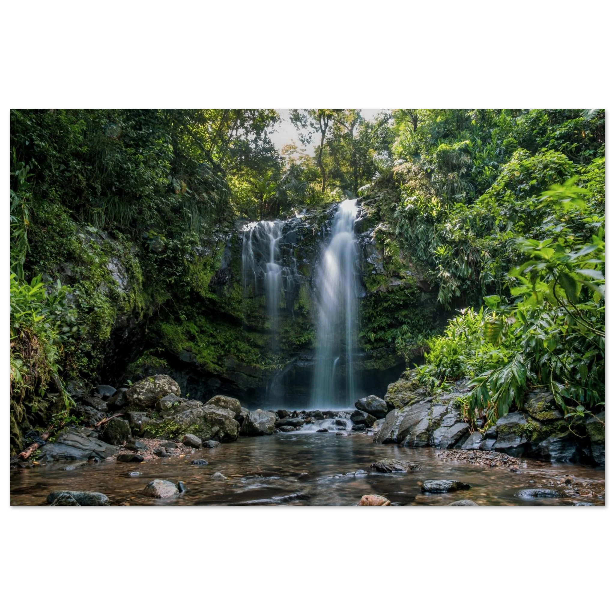 56062996-c229-4bad-b475-bd3c11f06833