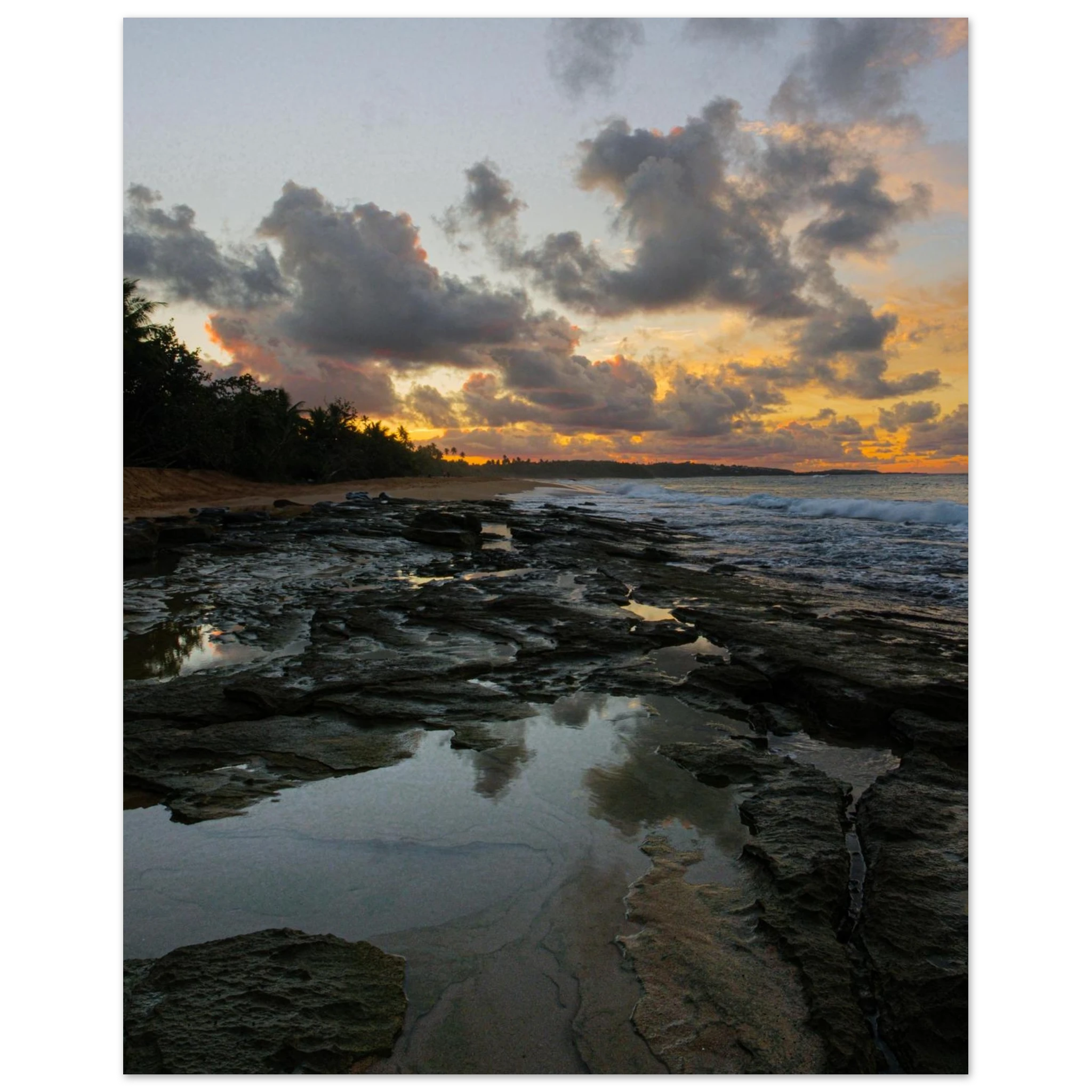 59038dd1-746e-49b9-8de7-00ef68ec4259