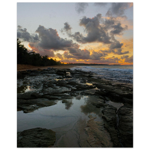 59038dd1-746e-49b9-8de7-00ef68ec4259