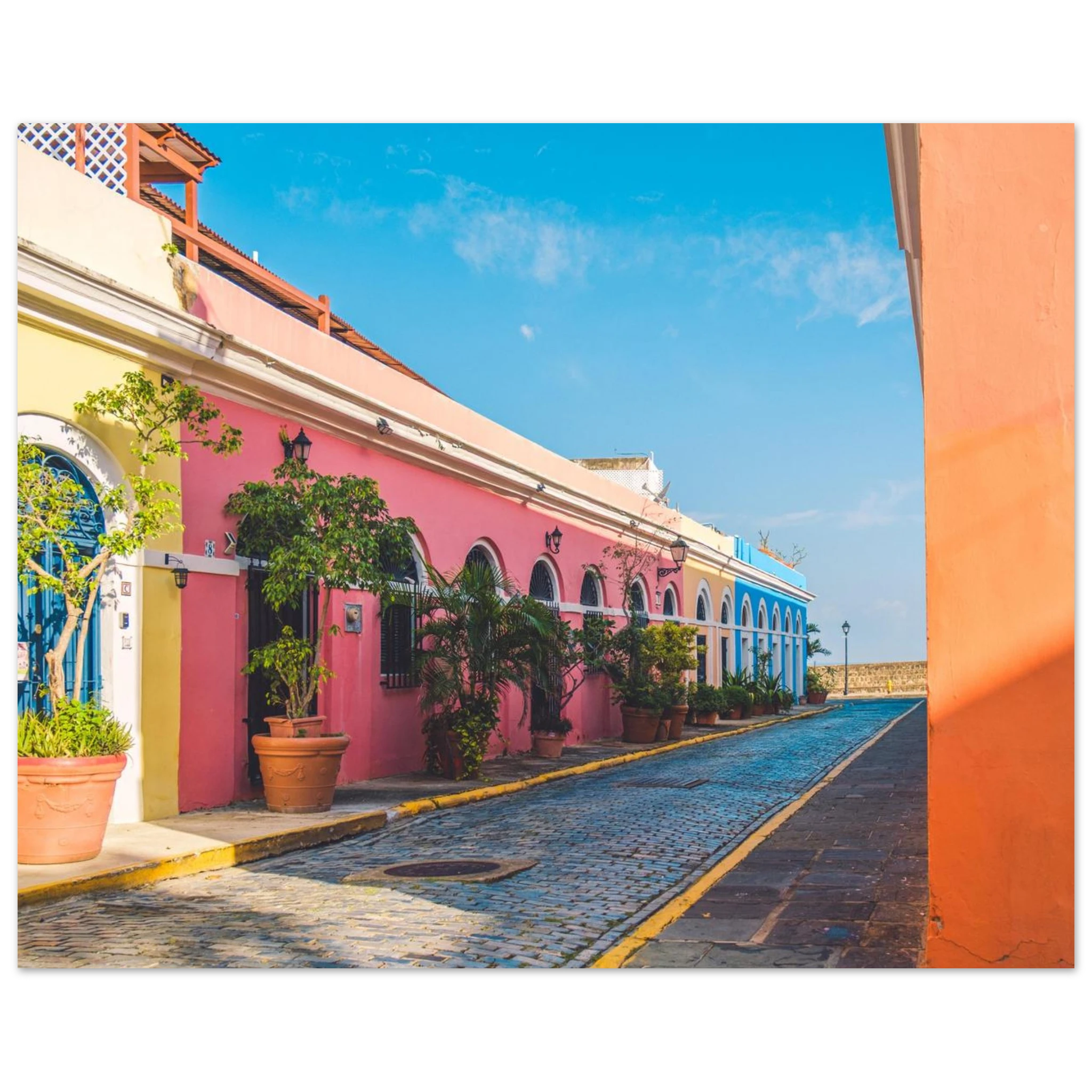 88d5964c-33d4-4f76-b9ad-b2208da597ea