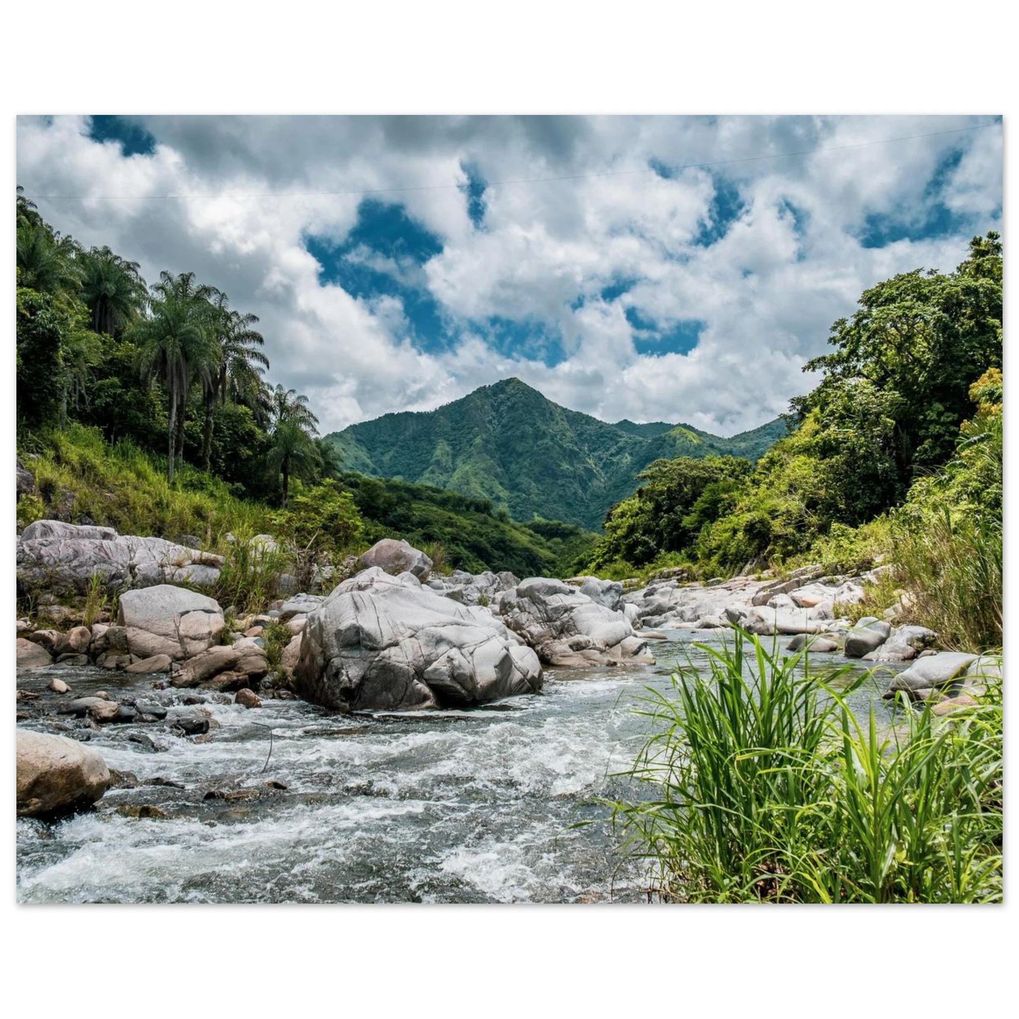 aceb621f-1e67-458d-81a3-80b47584d798