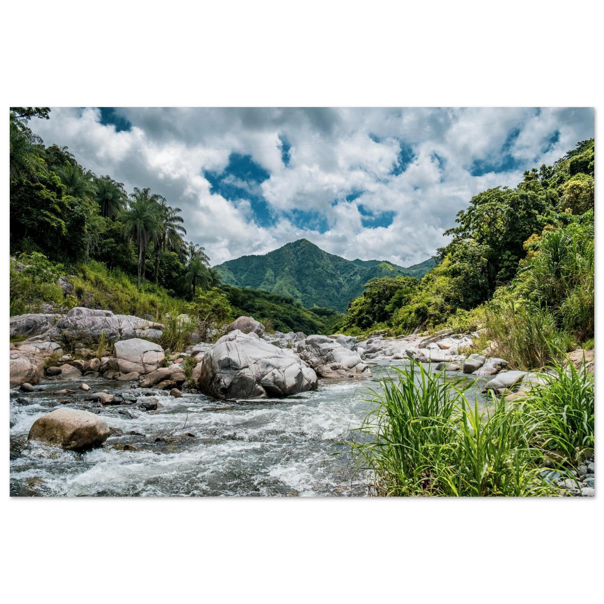 c6497b4a-c965-4ca2-87c9-ad00dcaad097