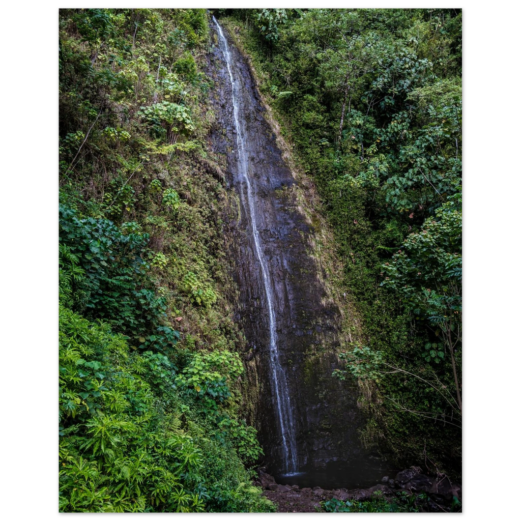 cf16c406-f805-46c8-9417-ddb4590caf53
