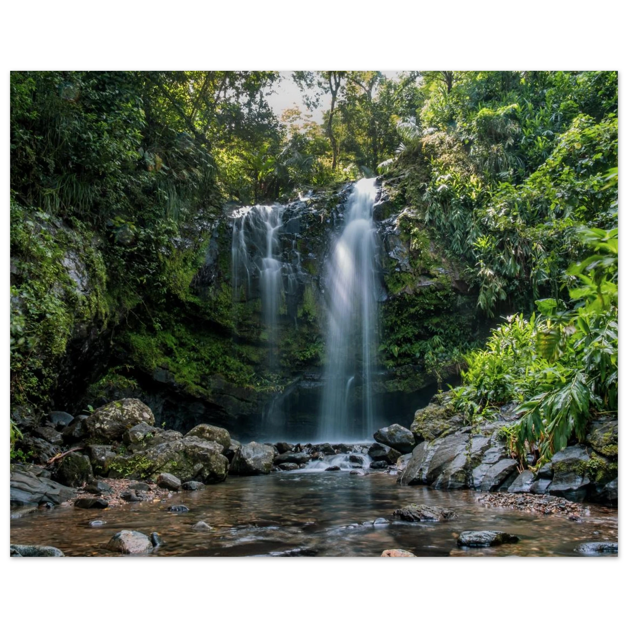 f19f5b14-944c-454d-8d16-32712f1023e7