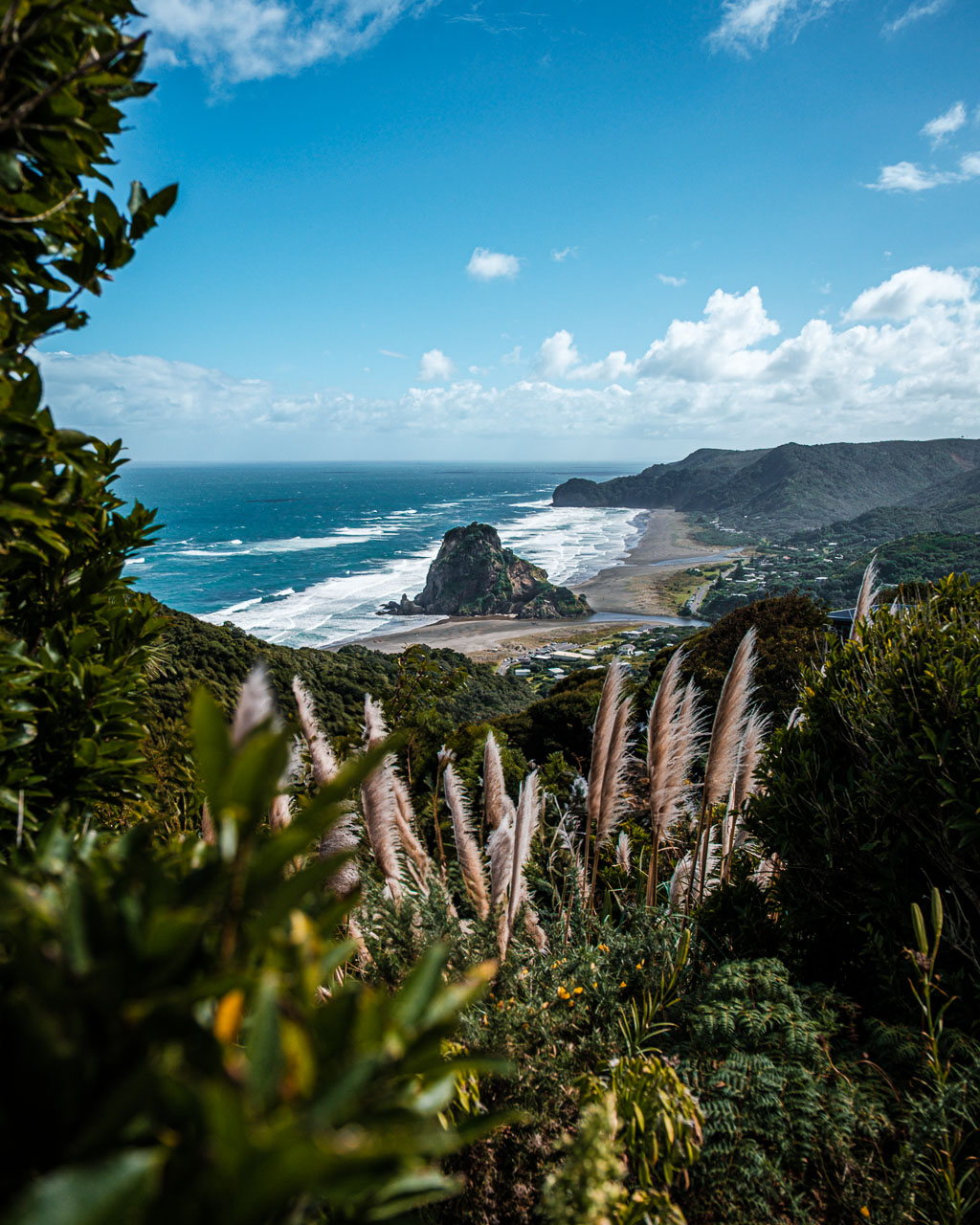 Lion Head rock from a hill top at Piha beach