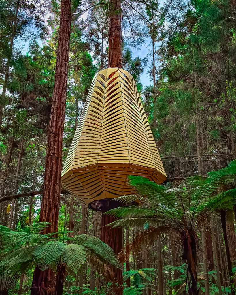 Whakarewarewa Forest Park in New Zealand