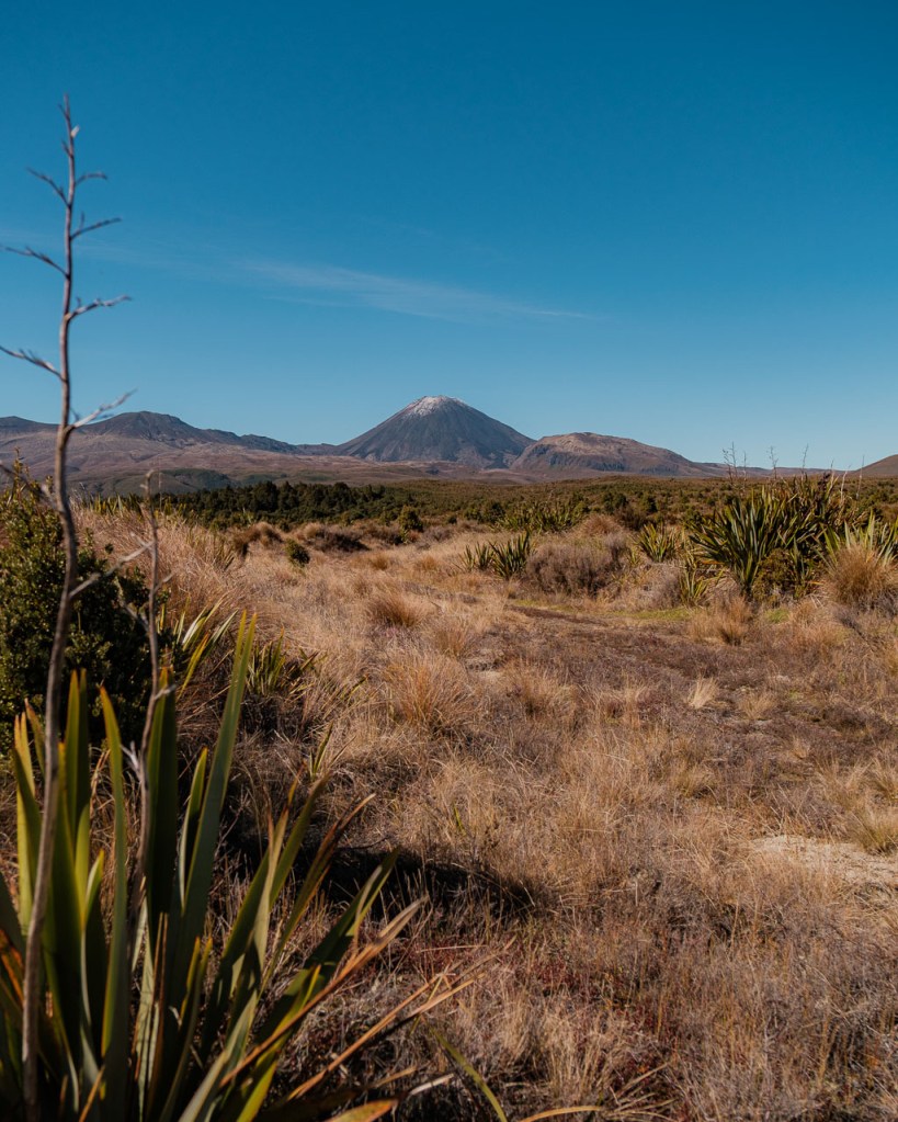 Mount Ngauruhoe in New Zealand