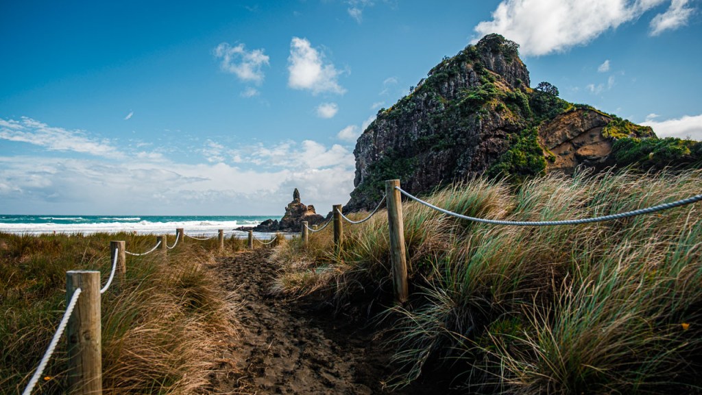 Lion Head rock from a trail at Piha beach