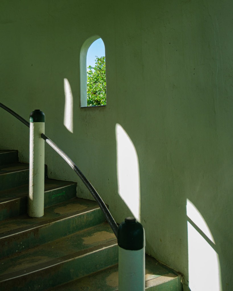 Inside Yohaku Tower in El Yunque, Puerto Rico