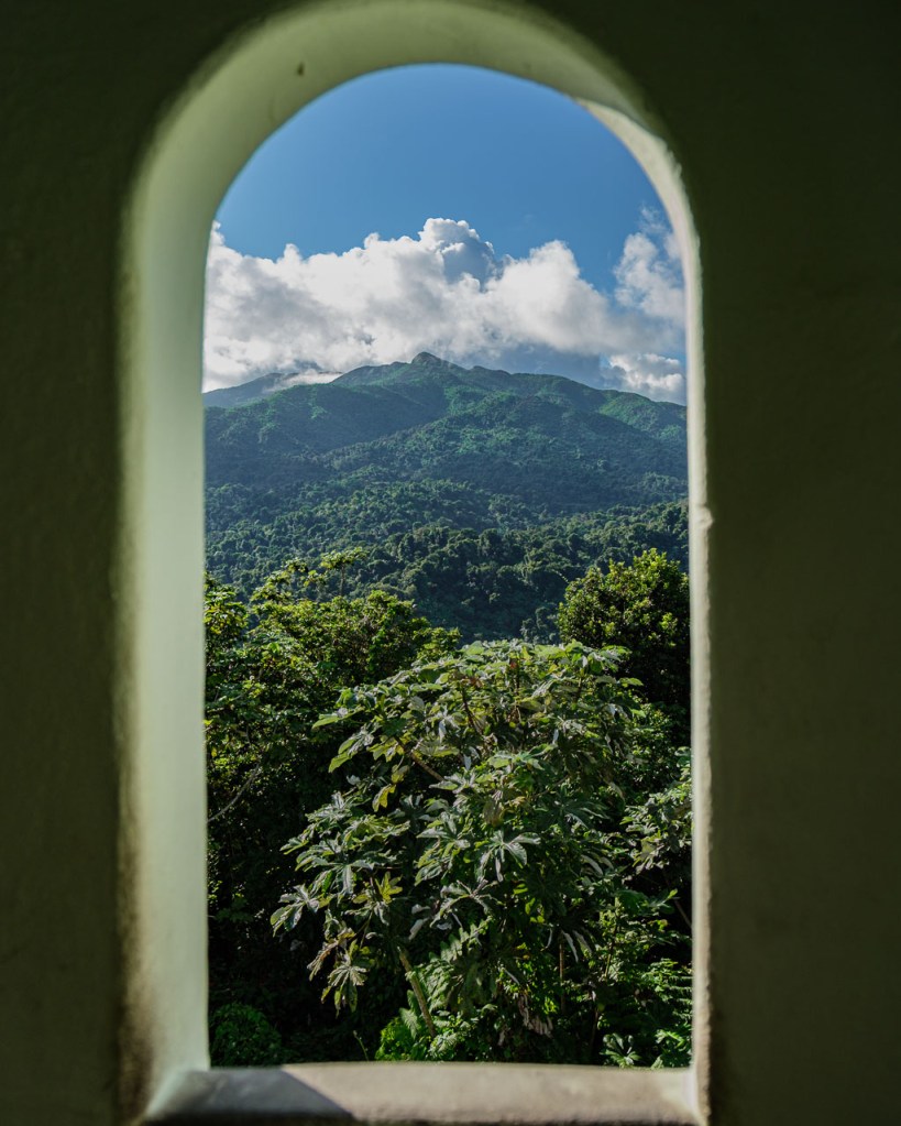 Window in Yohaku Tower in El Yunque, Puerto Rico