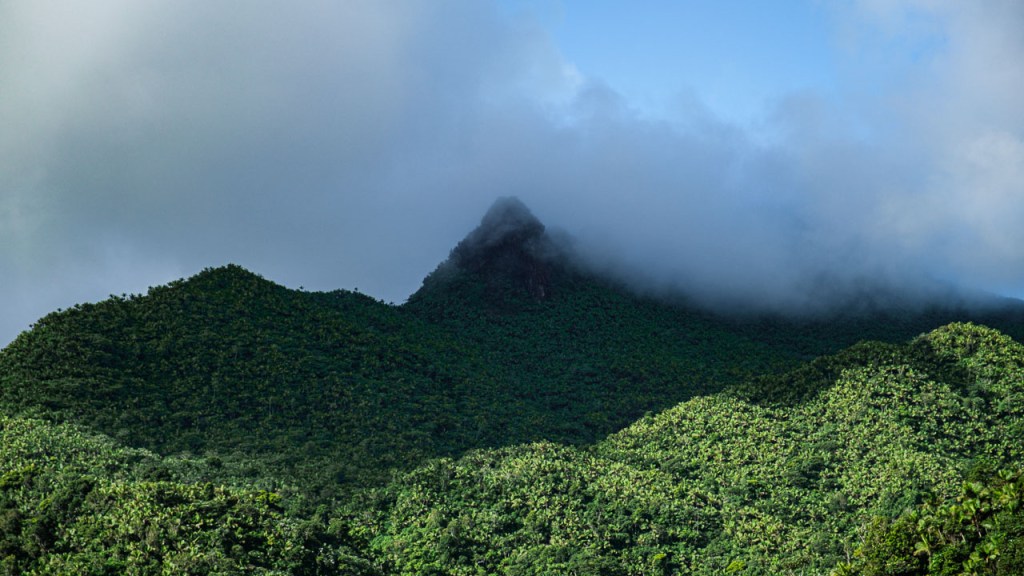 Landscape of Pico El Yunque and surrounding forest in Puerto Rico