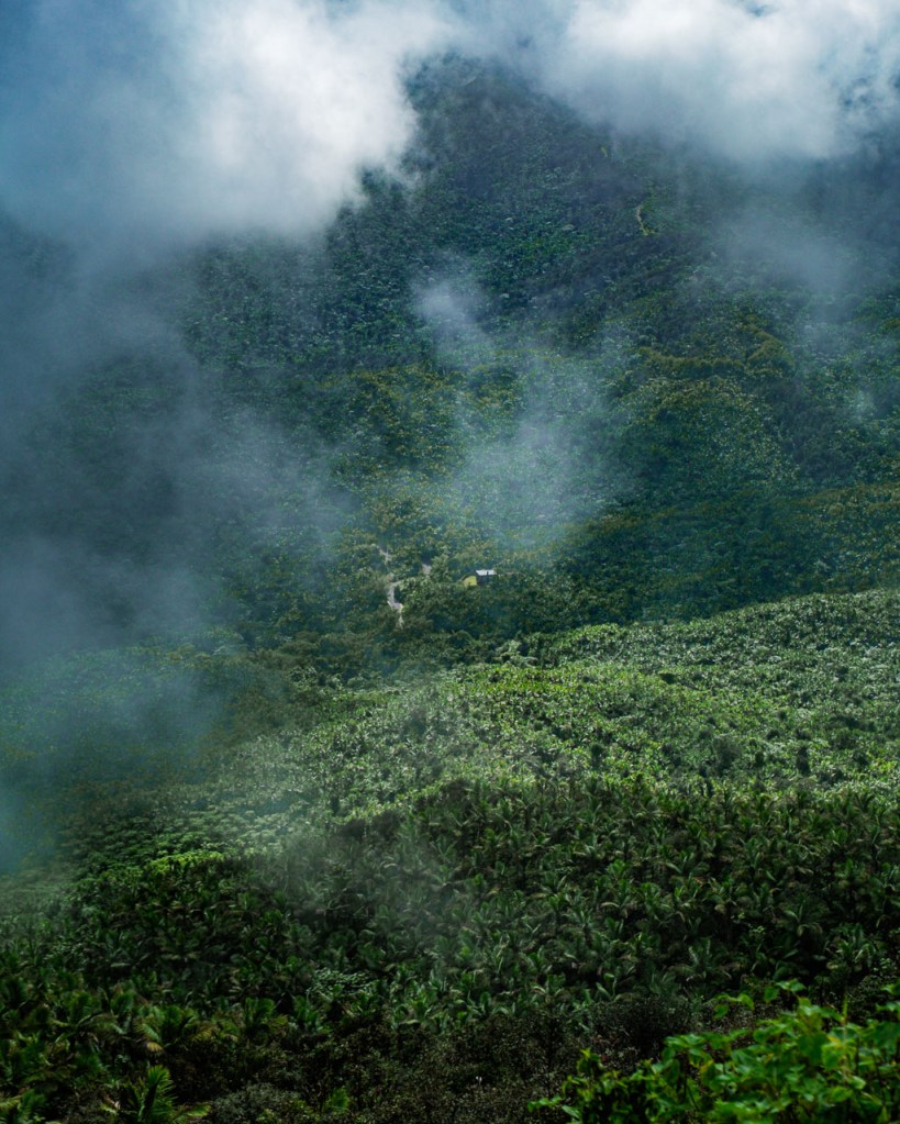 in El Yunque, Puerto Rico