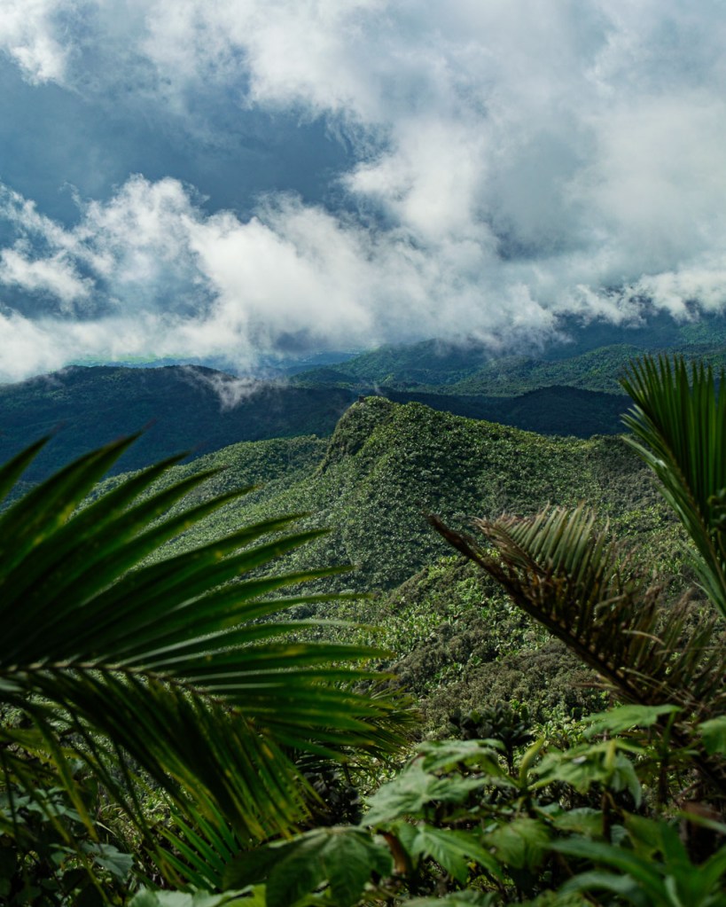 Mount Britton atop a mountain in El Yunque, Puerto Rico