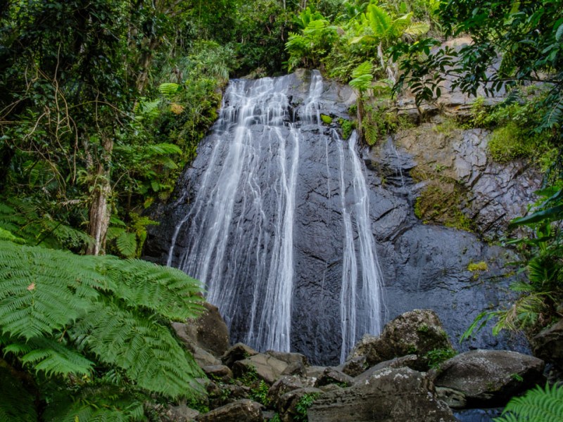 El Yunque: A Photographer’s Love letter to the Puerto Rican&nbsp;Rainforest