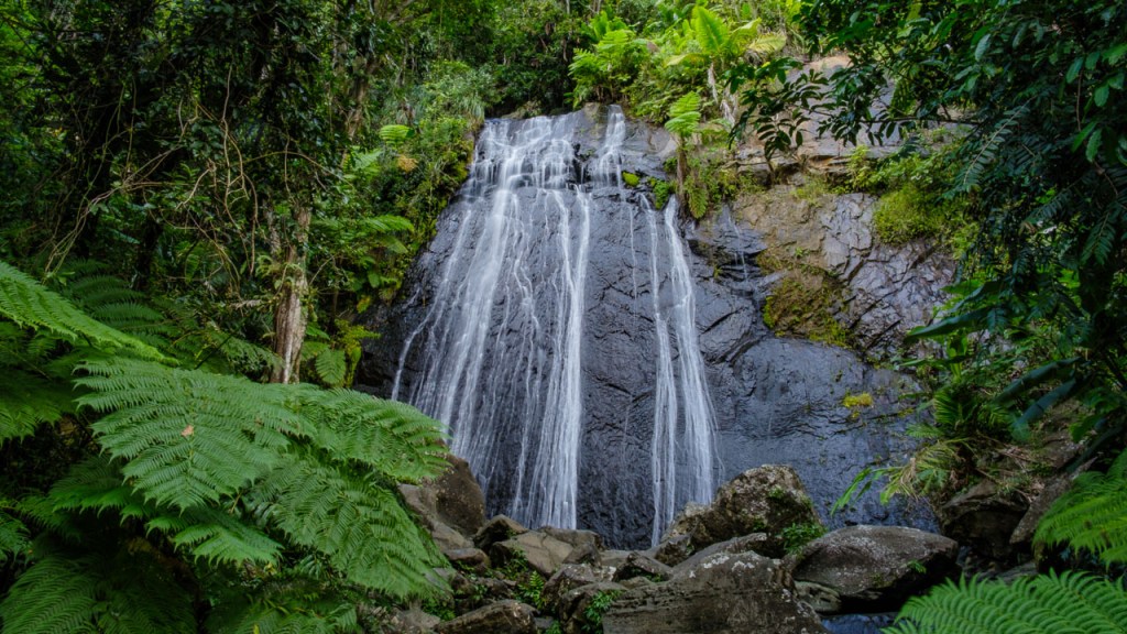 La Coca Waterfall in El Yunque, Puerto Rico