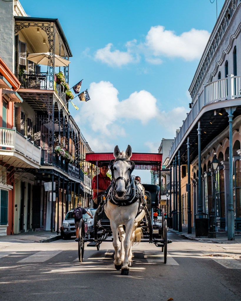 Photo of a horse-drawn carriage in the French Quarter of New Orleans